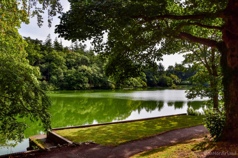 Hillsborough Forest Park , Nordirland, Co Down