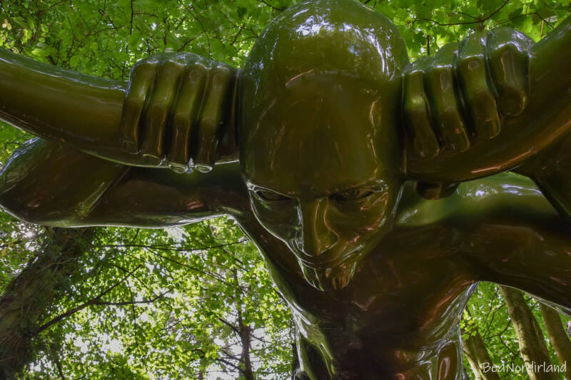 Hillsborough Forest Park , Nordirland, Co. Down