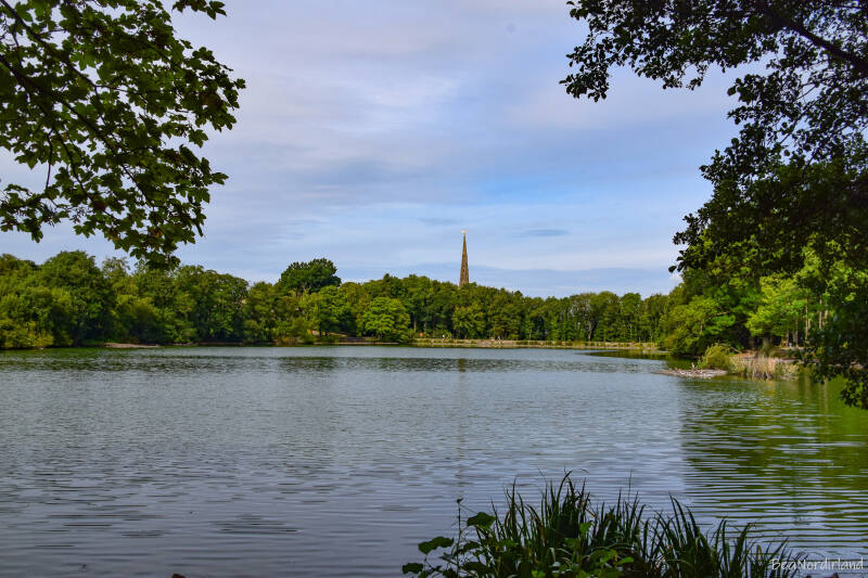 Hillsborough Forest Park , Nordirland , Co. Down