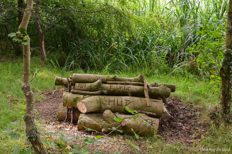 Hillsborough Forest Park , Nordirland, Co. Down
