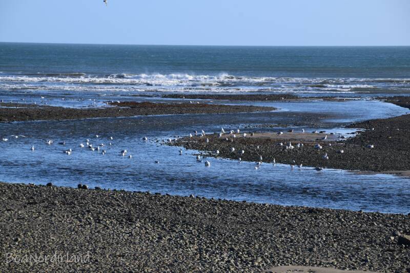 Newcastle, Co Down  Northern Ireland