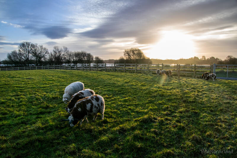 Lough Neagh, Oxfort Island
