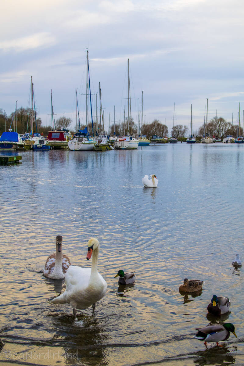 Lough Neagh, Oxfort Island