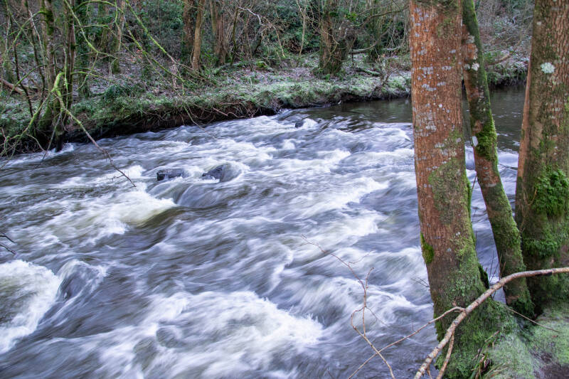 Clare Glen Park, Northern Ireland