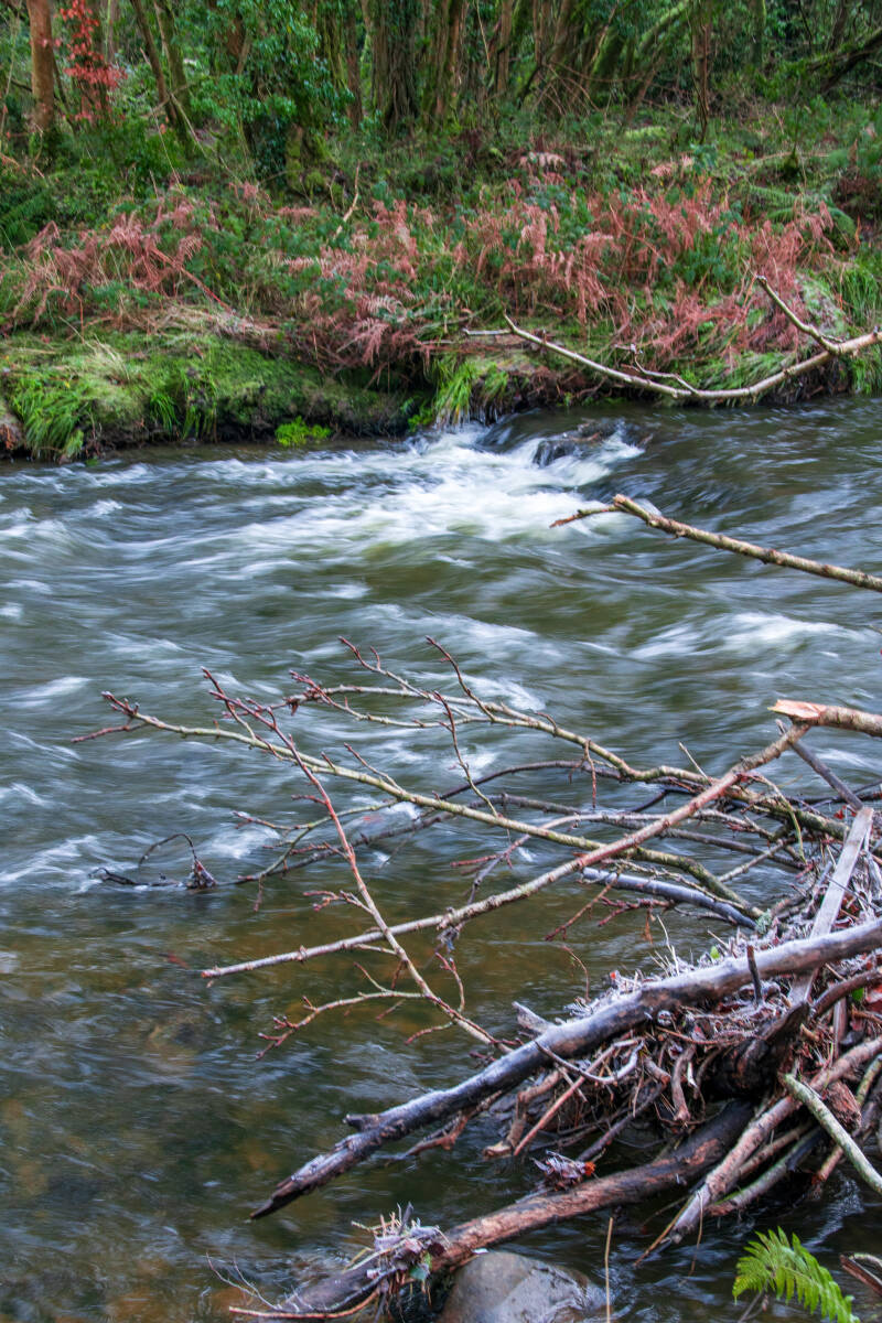 Clare Glen Park, Northern Ireland