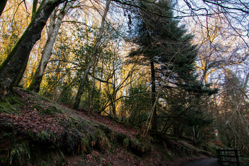 Clare Glen Park, Northern Ireland