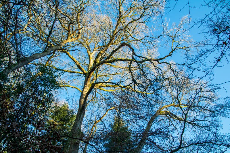 Clare Glen Park, Northern Ireland