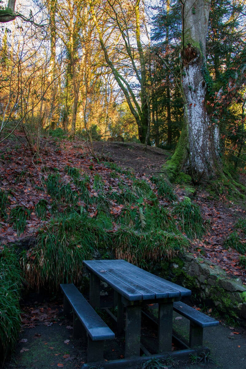 Clare Glen Park, Northern Ireland