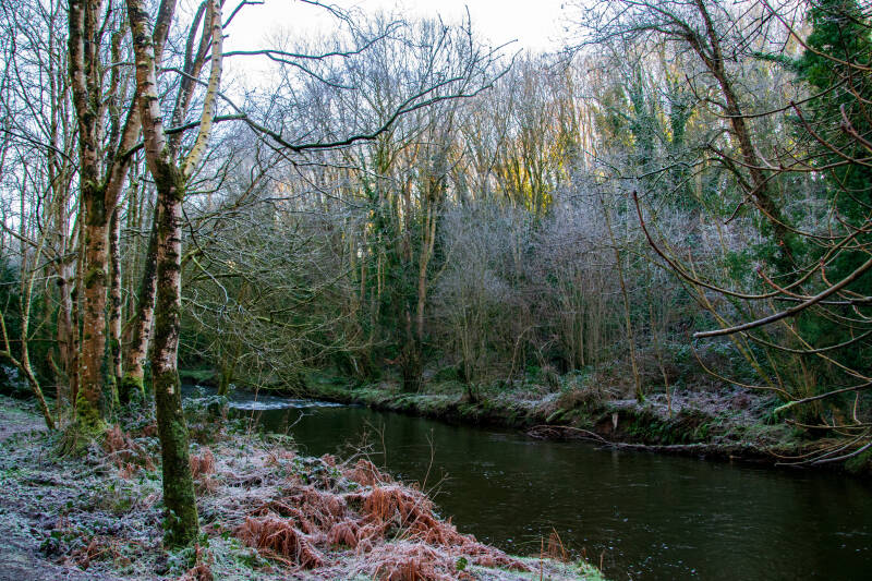 Clare Glen Park, Northern Ireland