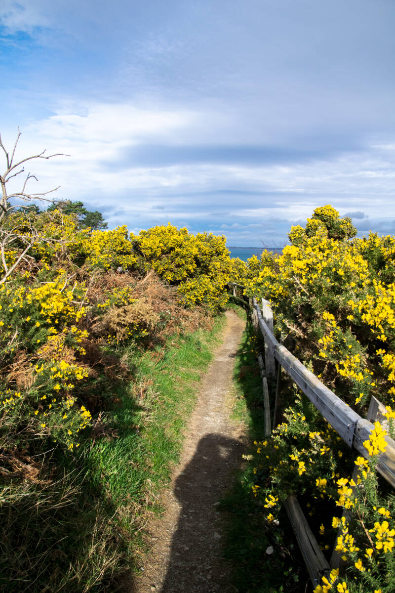  Bloody Bridge, County Down Northern Ireland