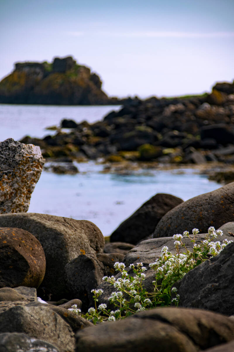 Ballygalley, Nordirland