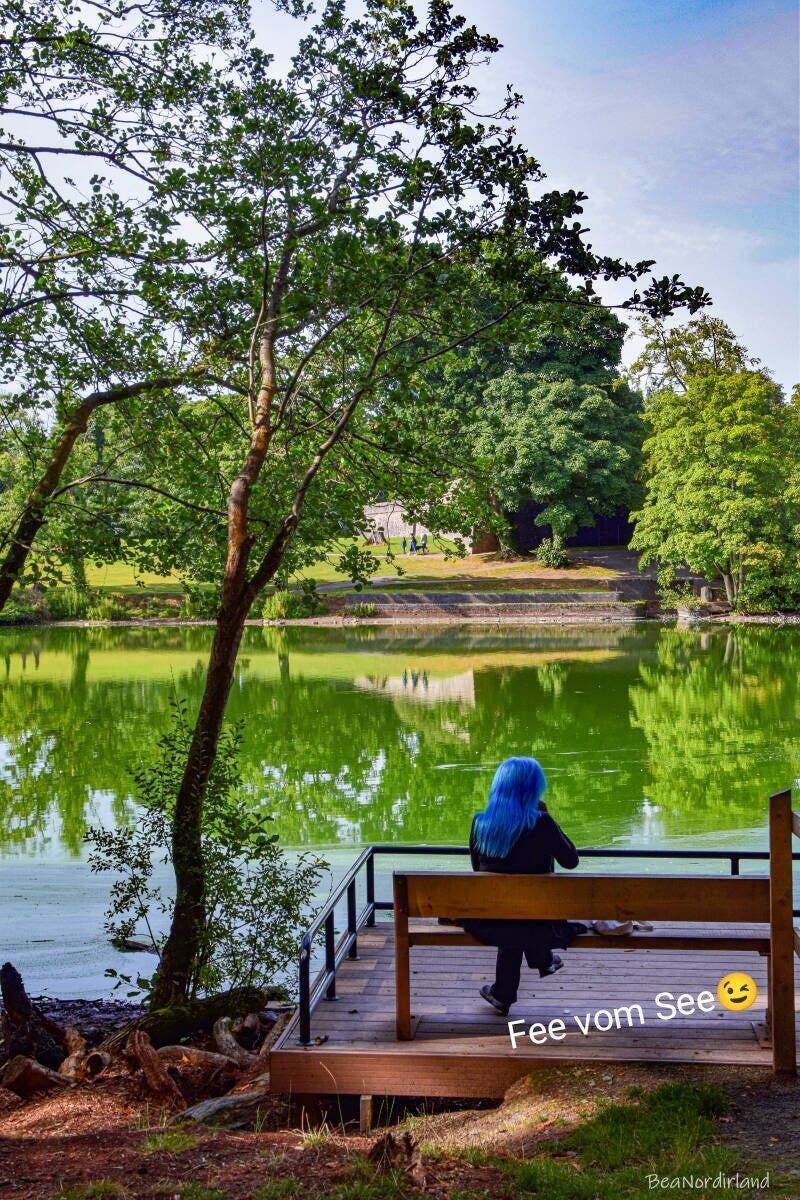 Hillsborough Forest Park , Nordirland, Co. Down