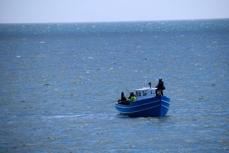 Blackhead Lighthouse & Coastal Path Whitehead 