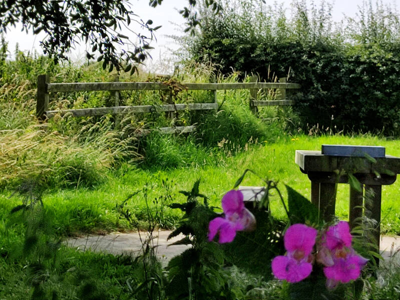 Lough Neagh, Nordirland