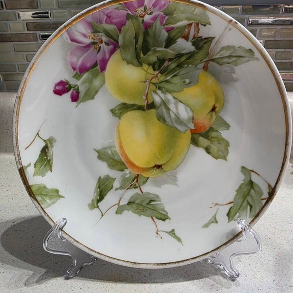 Vintage Rosenthal Bavaria Hand-Painted Porcelain Cabinet Plate