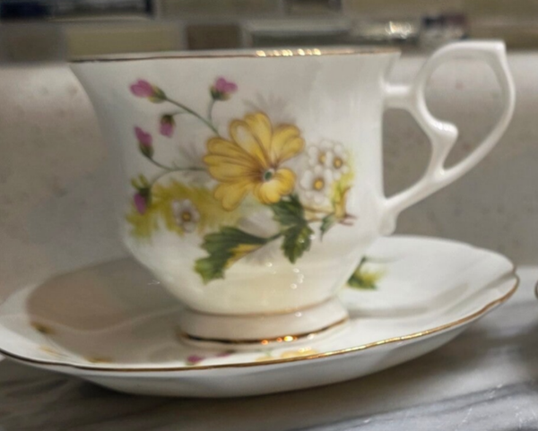 Royal Wessex Fine Bone China Teacup and Saucer-Clementine Pattern