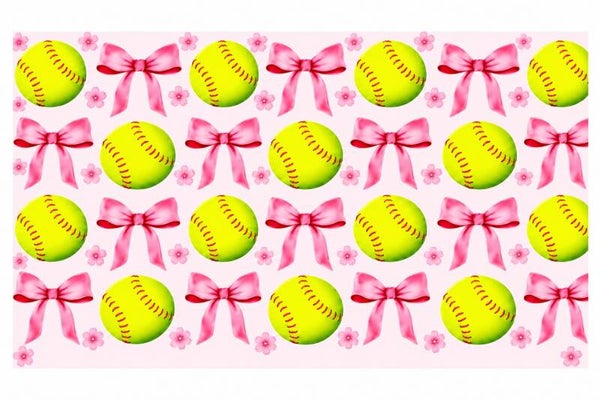 Softball Sweetheart — 16 oz Acrylic Snow Globe Tumbler