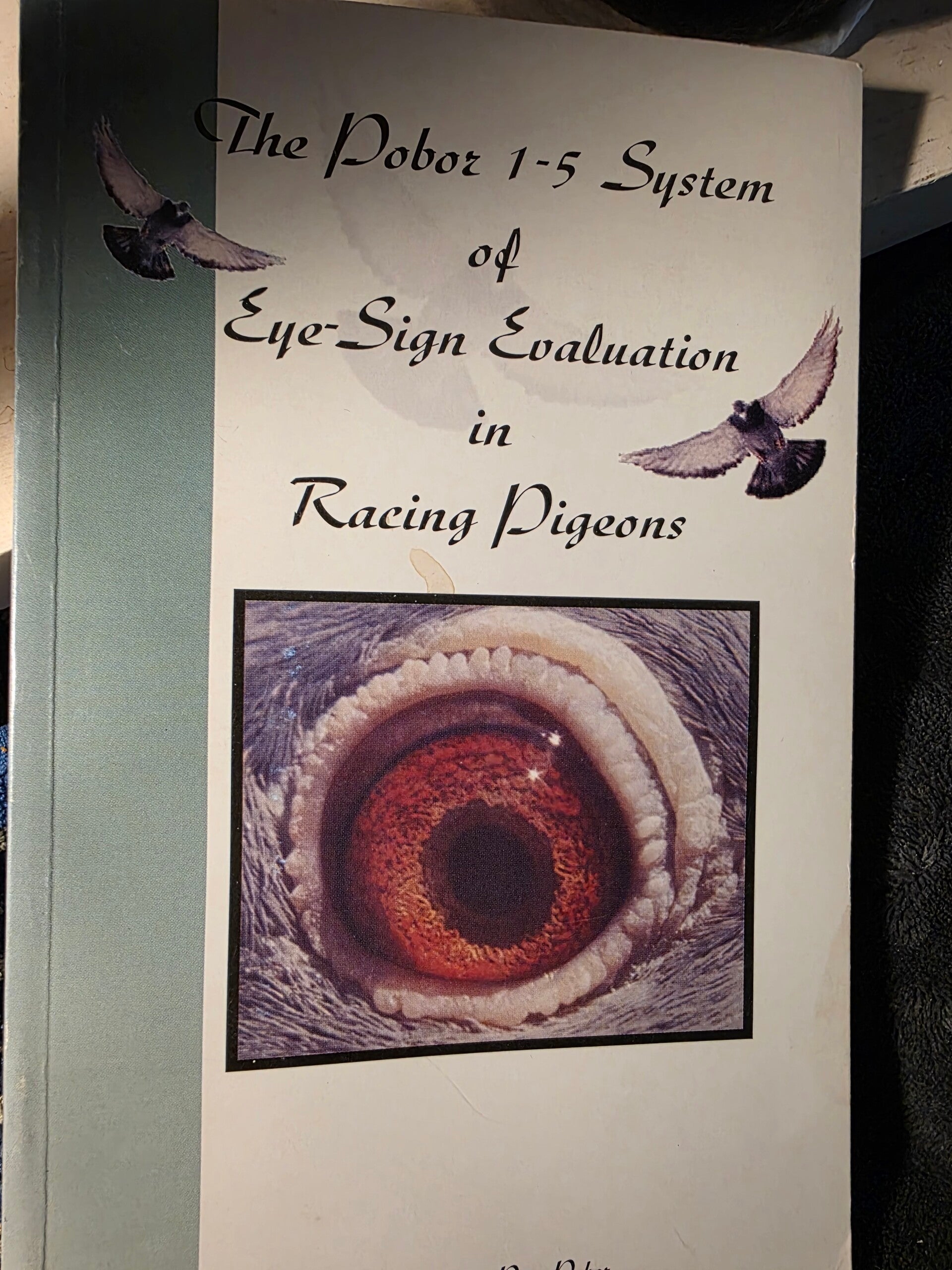 The Pobor 1‑5 System of Eye‑Sign Evaluation in Racing Pigeons
