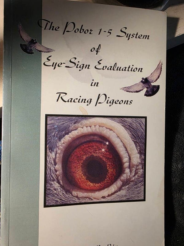 The Pobor 1‑5 System of Eye‑Sign Evaluation in Racing Pigeons