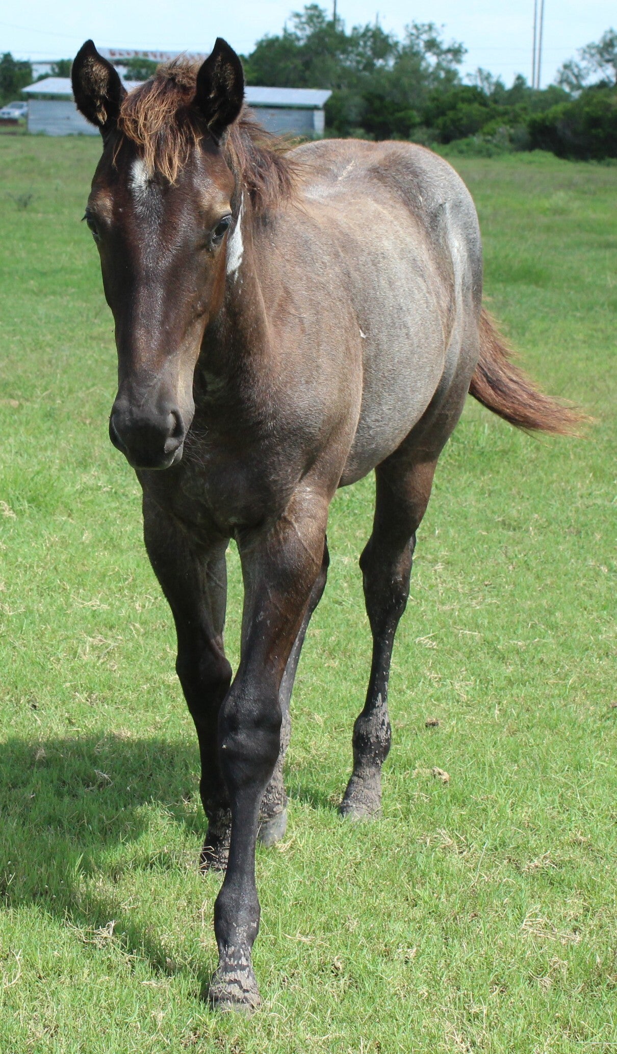 261548_0166-standard.jpg