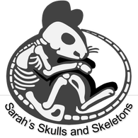 Sarah's Skulls and Skeletons Logo