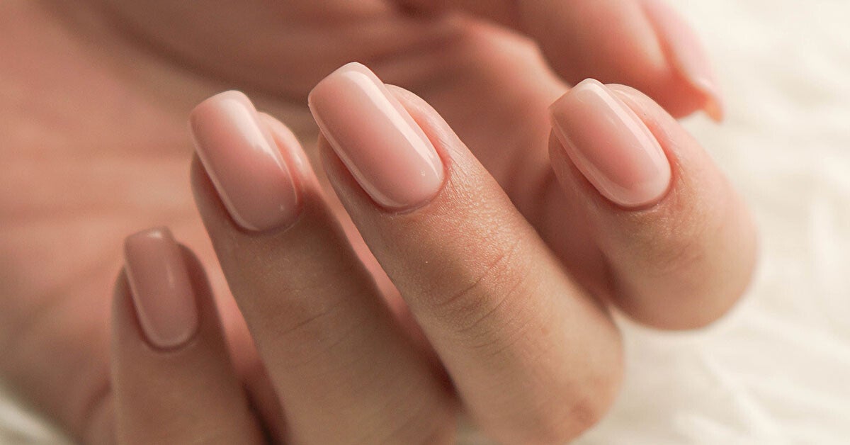 Basis opleiding Biab 6 dagen