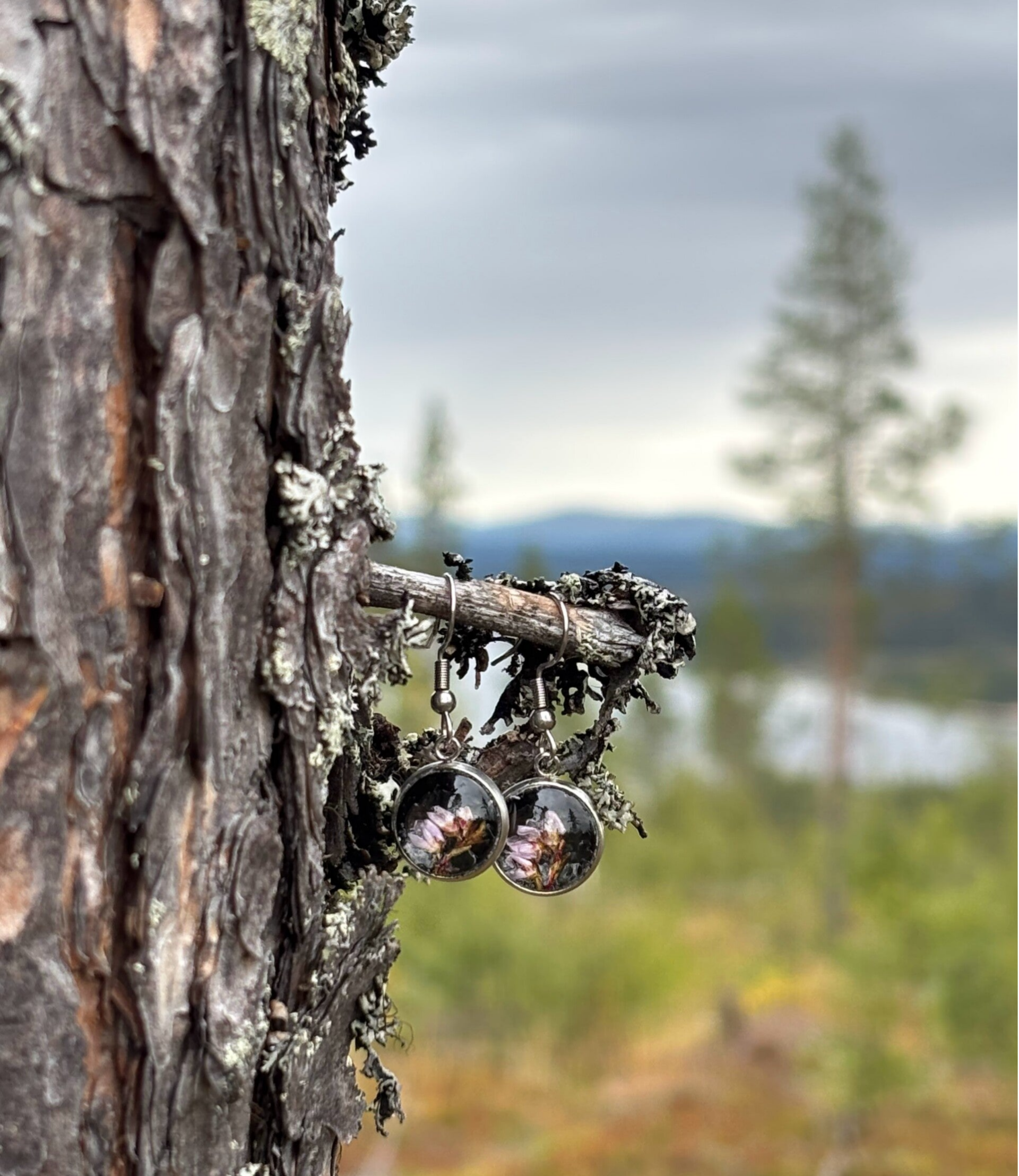 Kanerva musta S korvakoru