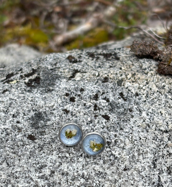 Kanerva vaaleansininen XS nappikorvakoru