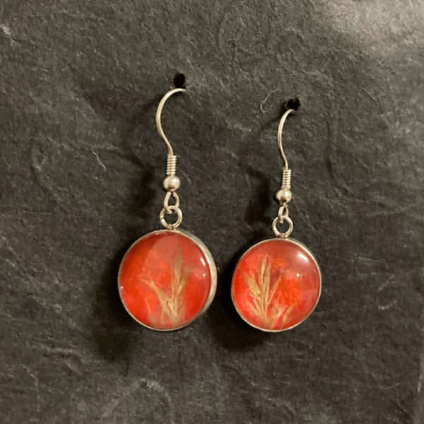 Lapinkastikka M punainen korvakorut