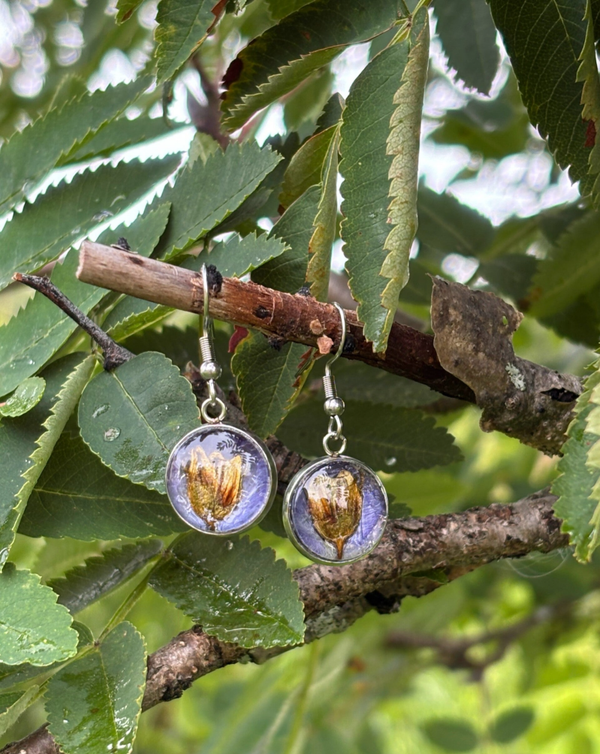 Lapin puikula orvokinterälehdellä M korvakoru