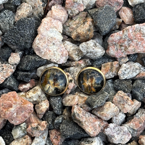 Suopursu kullattu nappikorvakoru musta M