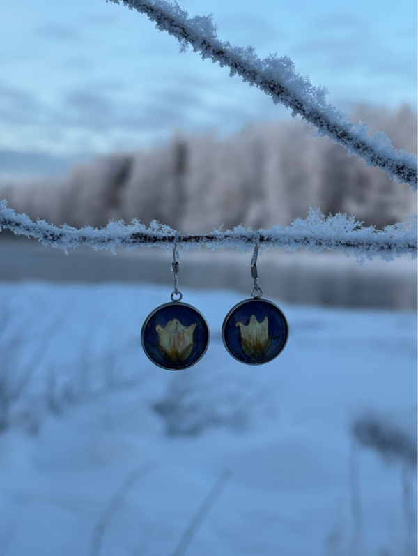 Lapin Puikula ja orvokki L korvakoru