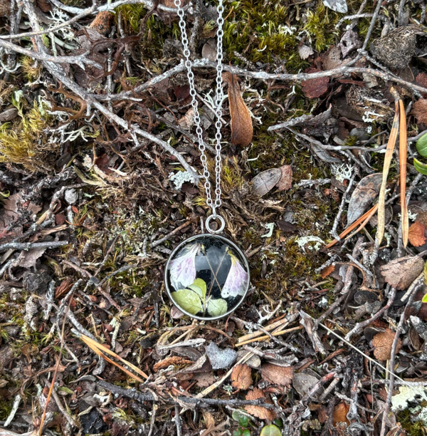 Vanamo kaulakoru XXL musta