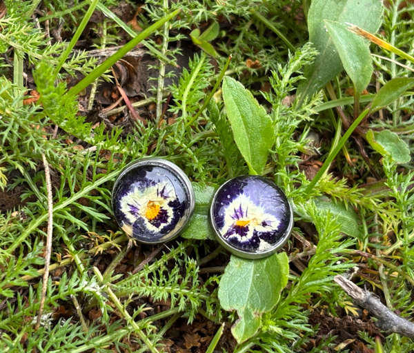 Orvokki sinivioletti S nappikorvakoru