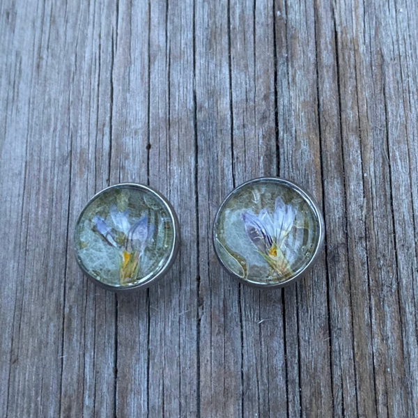 Maahumala mustaherukanlehdellä S nappikorvakoru