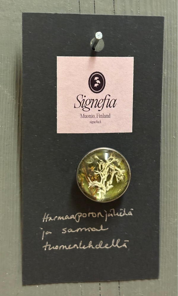 Harmaaporonjäkälä ja sammal tuomenlehdellä rintakoru