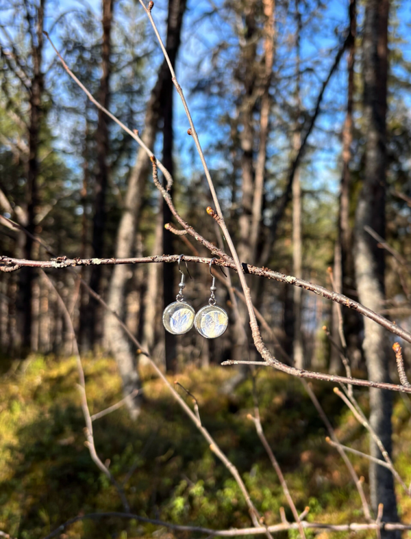 Ruiskaunokki ruusunterälehdellä M korvakoru