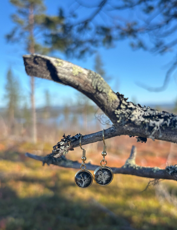 Palleroporonjäkälä musta kullattu XS korvakoru