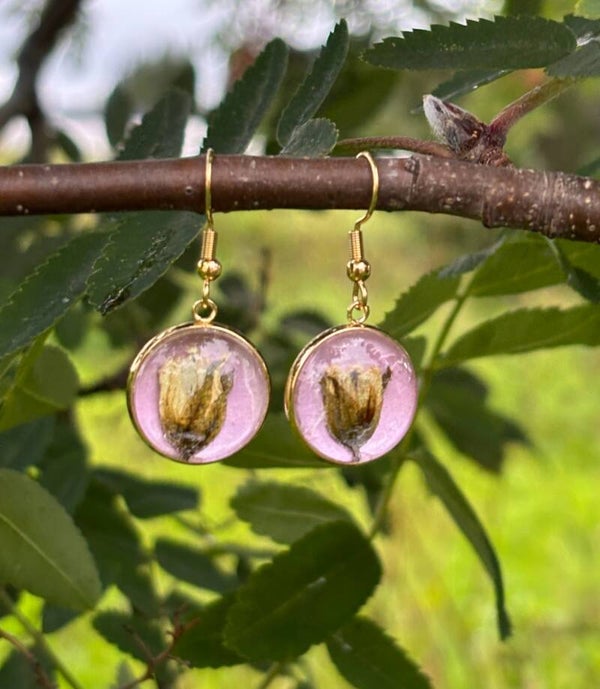 Lapin puikula kullattu L vaaleanpunainen korvakoru