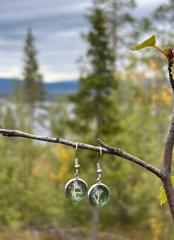 Palleroporonjäkälä vihreä S korvakoru