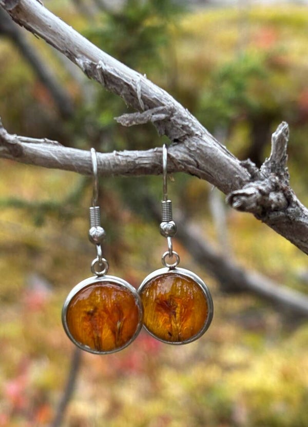 Samettiruusu vaaleanoranssi S korvakoru