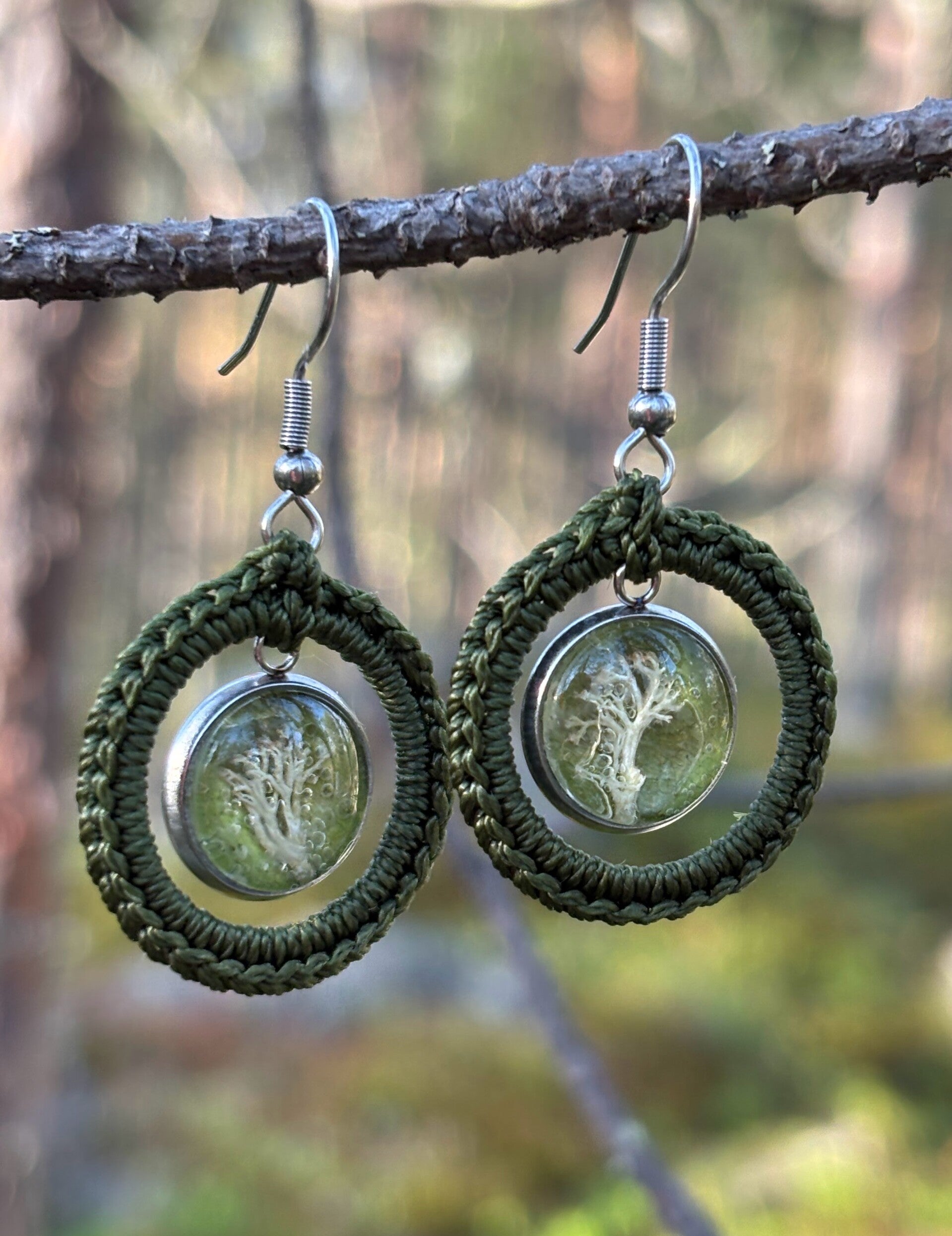 Aune Helena pieni palleroporonjäkälä peurankellonlehdellä tummanoliivinvihreä