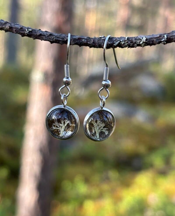 Palleroporonjäkälä hillanlehdellä XS korvakoru