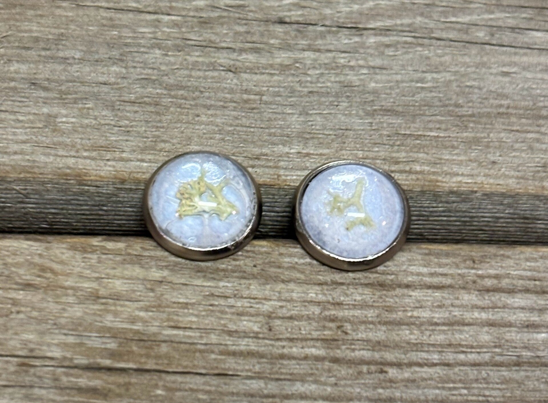 Palleroporonjäkälä vaaleansininen xs nappikorvakoru