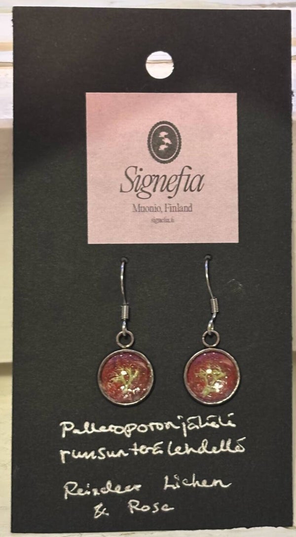 Palleroporonjäkälä ruusunterälehdellä XS korvakoru