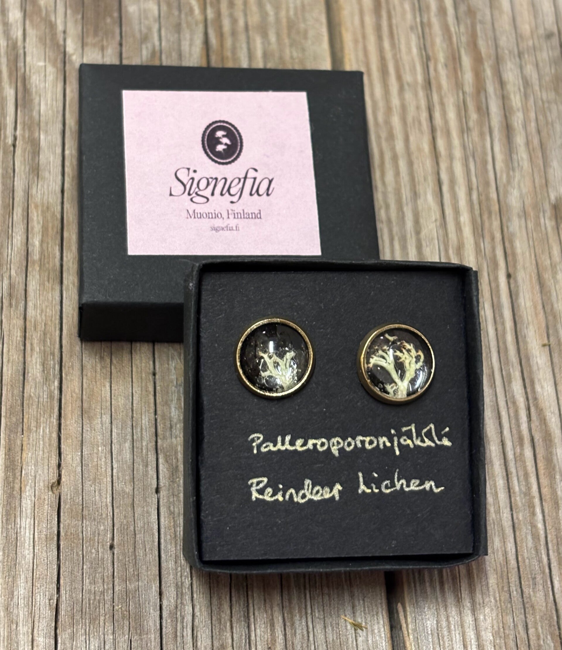 Palleroporonjäkälä kullattu XS musta nappikorvakoru