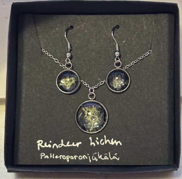 Palleroporonjäkälä musta lahjasetti