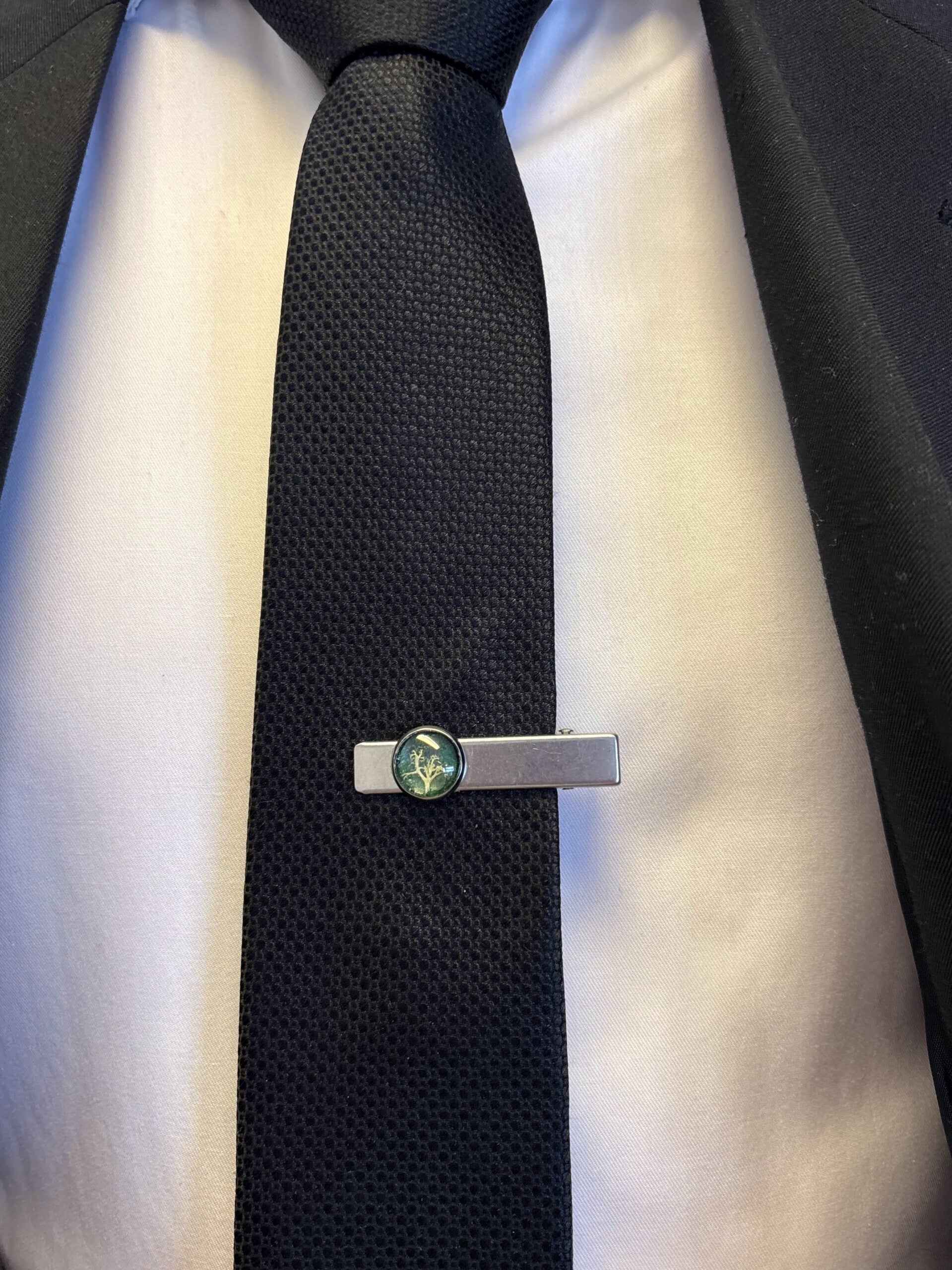 Solmioneula palleroporonjäkälä vihreä