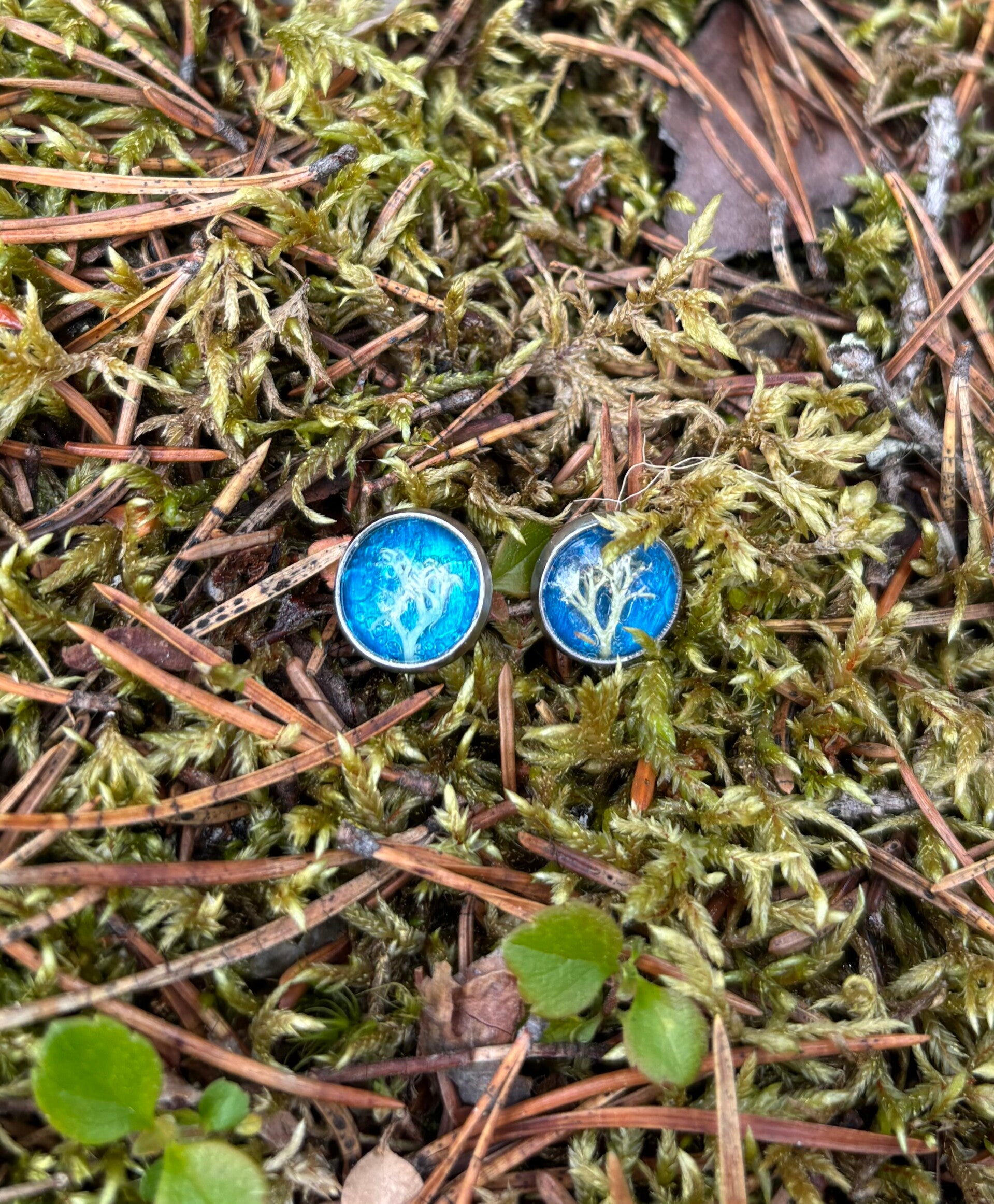 Palleroporonjäkälä turkoosi XS nappikorvakoru