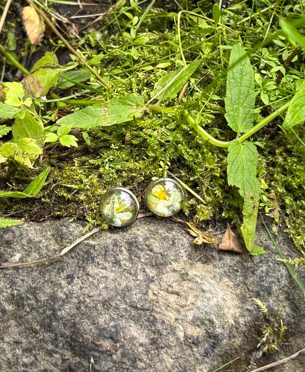 Pelto-orvokki M nappikorvakorut